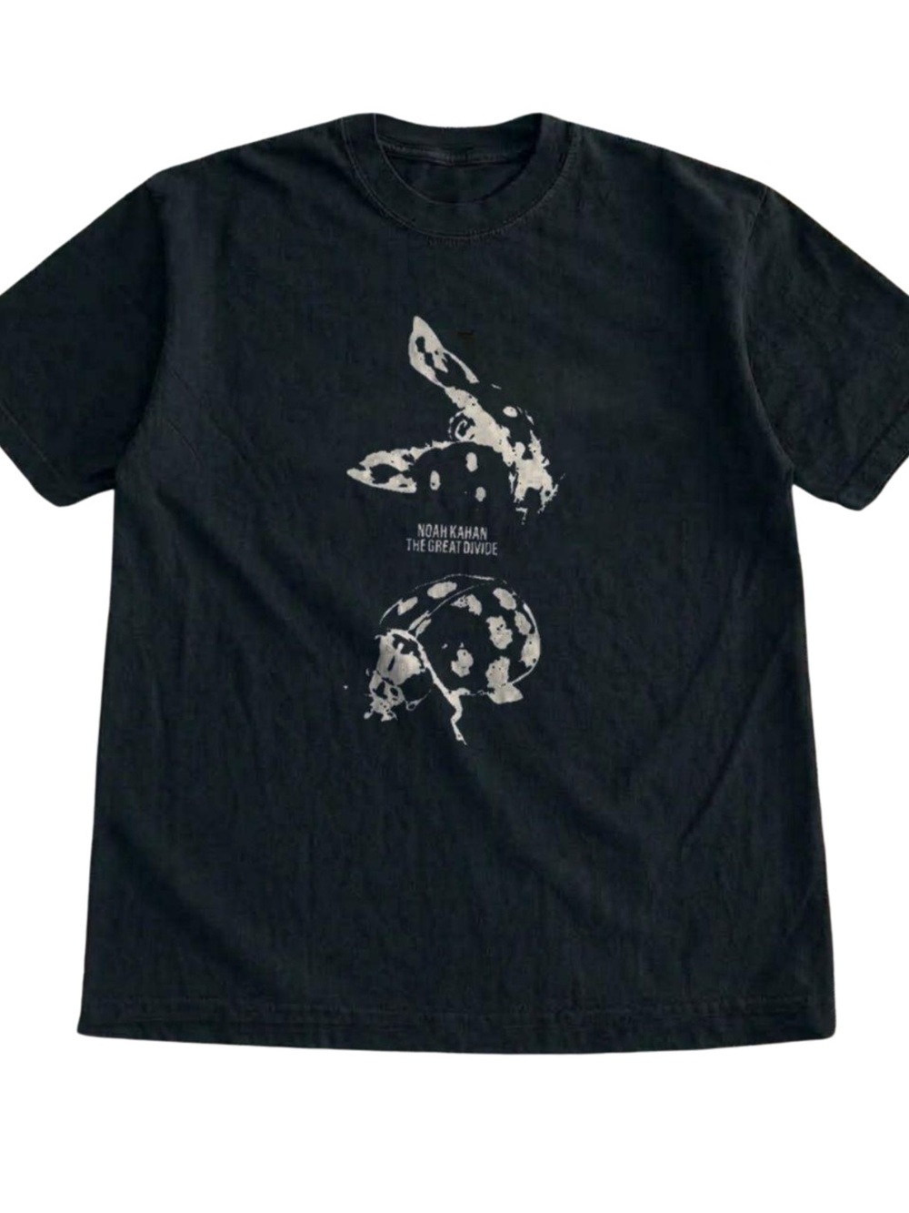 Gildan Black Short Sleeve Tee with White Distressed Graphic, Gift For Her, Him